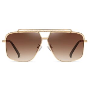 Lenelle Aviators